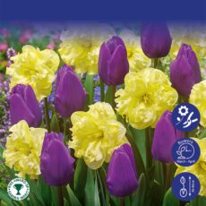 8718641999790 1 Opposite Attraction Collection Bulbs.jpg
